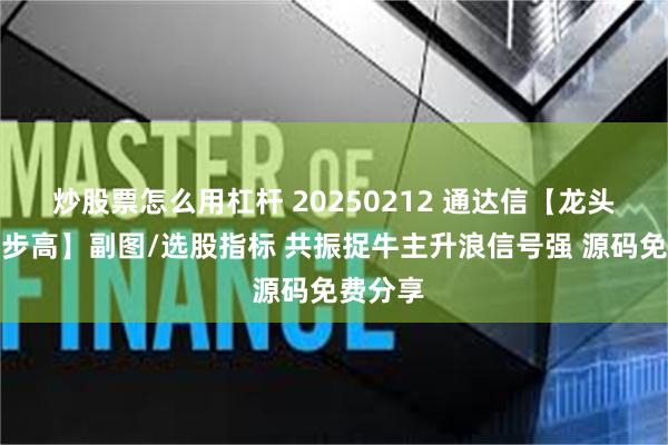 炒股票怎么用杠杆 20250212 通达信【龙头崛起步步高】副图/选股指标 共振捉牛主升浪信号强 源码免费分享