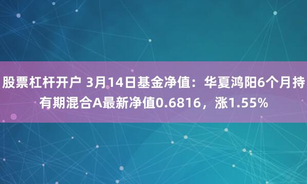 股票杠杆开户 3月14日基金净值：华夏鸿阳6个月持有期混合A最新净值0.6816，涨1.55%